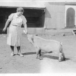 Clara (Miller) Reef (1899-1997)