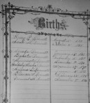 Henry Bennett Bible, Births