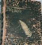 Henry B. Bennett Bible, photographed 1999