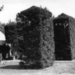 Schumm Evergreens
