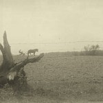 Carl Miller, Jacob’s son, planting corn