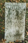 Peter Bryan, Died Aug 14, 1854, age 57y, 11m, 17d; Pingry Cemetery, Jay County, Indiana