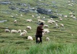 "Shepherd in Fagaras Mountains, Romania" Photo courtesy of Darwinek, Wikimedia.