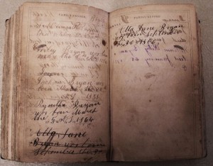 John Bryan Bible--Births