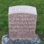 Romeo Brandt, Zion Lutheran Cemetery, Chattanooga, Mercer County, Ohio.