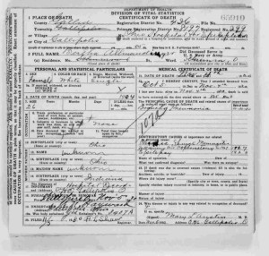 Bertha Allmandinger Ohio death certificate, 1930.