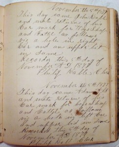 1877 Ear Marks, Liberty Township, Mercer County.