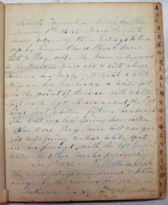 First entry in Mercer County Estray Book, 1842.