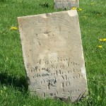 Caroline Hardzog, Zion Lutheran Cemetery, Schumm, Van Wert County, Ohio.